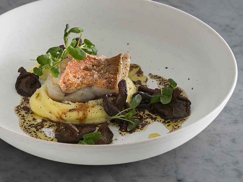 Opskrift på skindristet rødfisk med kartoffelpureé