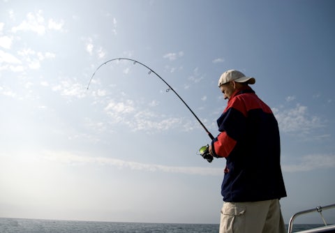 Fiskegrej | fiskeudstyr billigt fiskegrej online ⇒ Bilka.dk