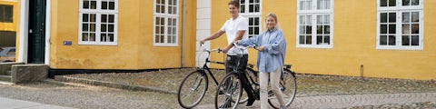 kartoffel transportabel Sovereign SCO cykel | God kvalitet til en god pris | Bilka.dk