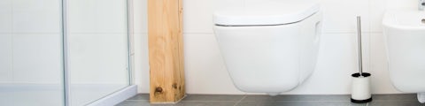 pakistanske Giotto Dibondon rygrad Toilet, toiletsæde og cisterne - Køb online på Bilka.dk.